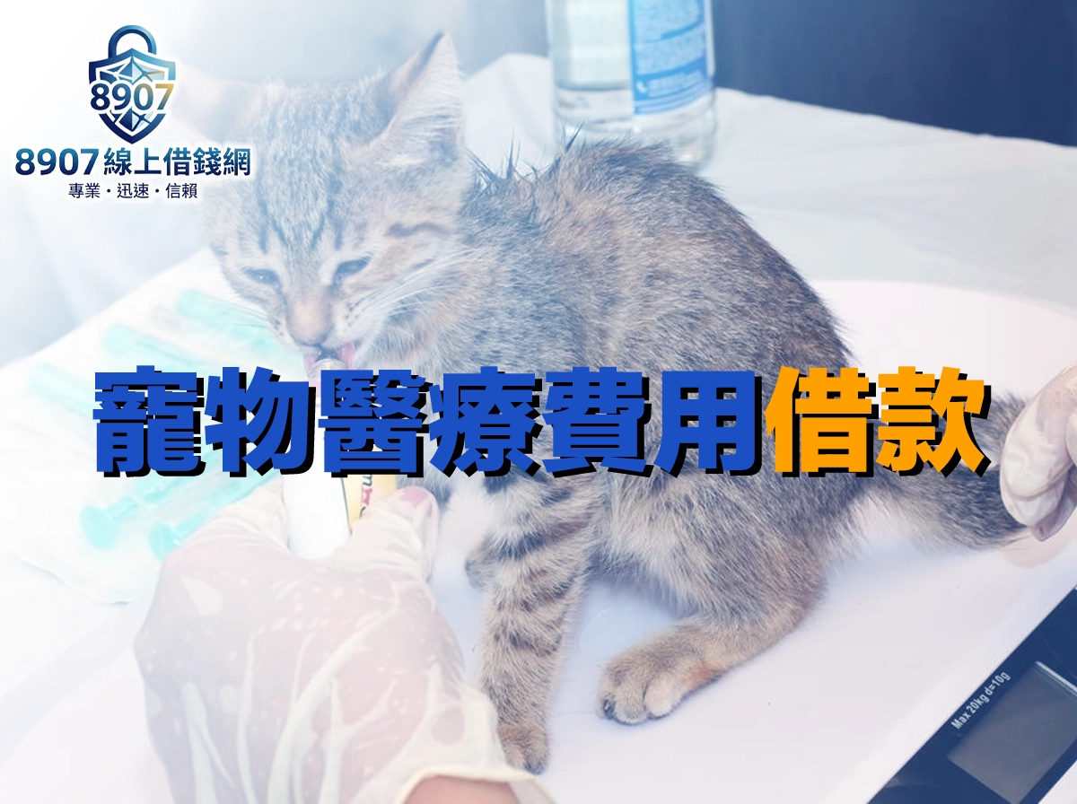 診療台上一隻小虎斑貓被戴手套的手餵食，旁邊放著針筒與磅秤，封面大字「寵物醫療費用借款」